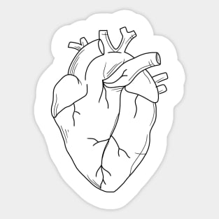 Anatomical heart black and white Sticker